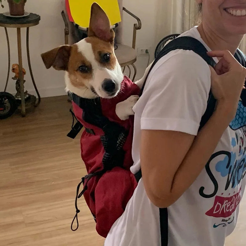 Travel Pet Dog Carrier