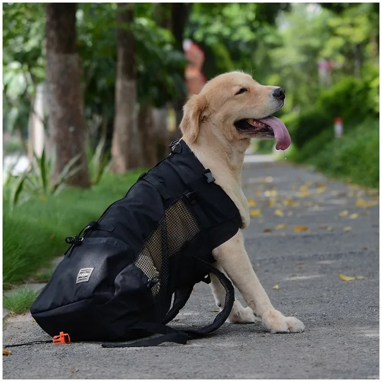 Travel Pet Dog Carrier