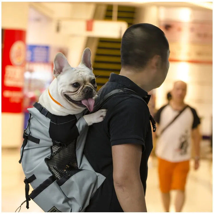 Travel Pet Dog Carrier