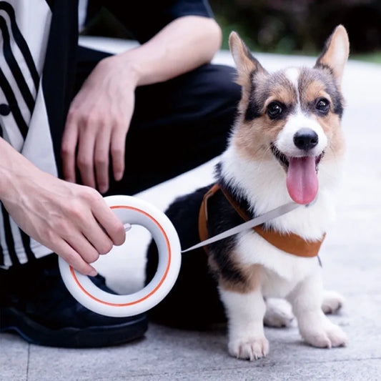 UFO Wearable Retractable Dog Leash – Hands-Free, Durable & Stylish!