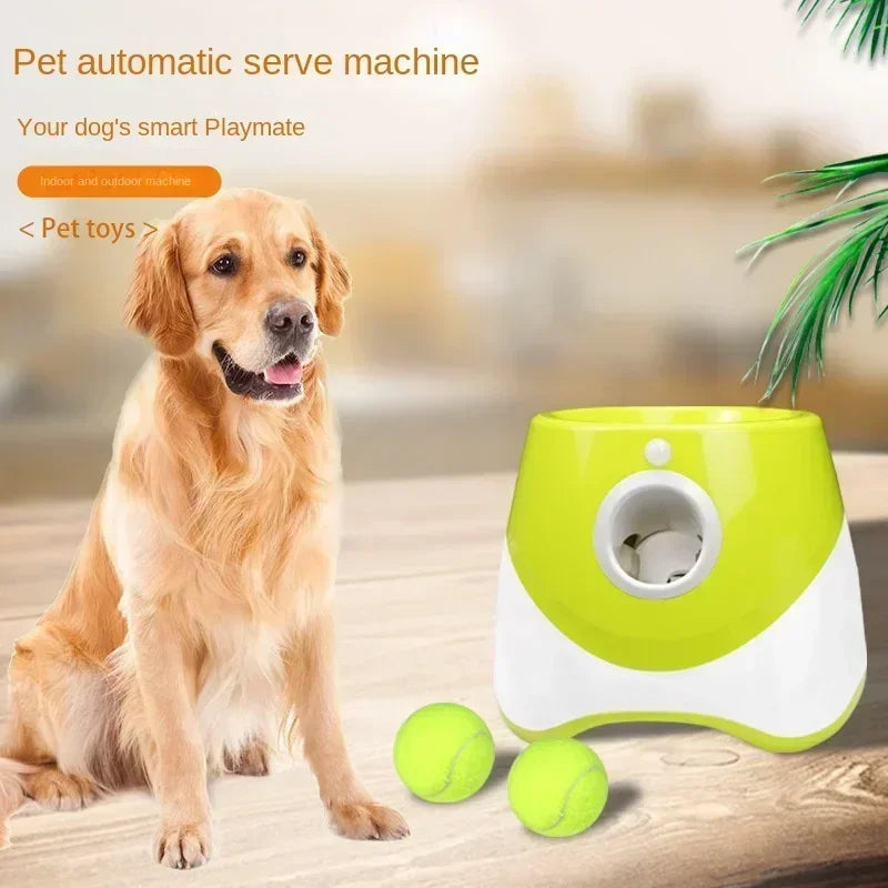 Automatischer Ballwerfer für Hunde – Interaktives Apportierspielzeug für kleine und mittelgroße Hunde