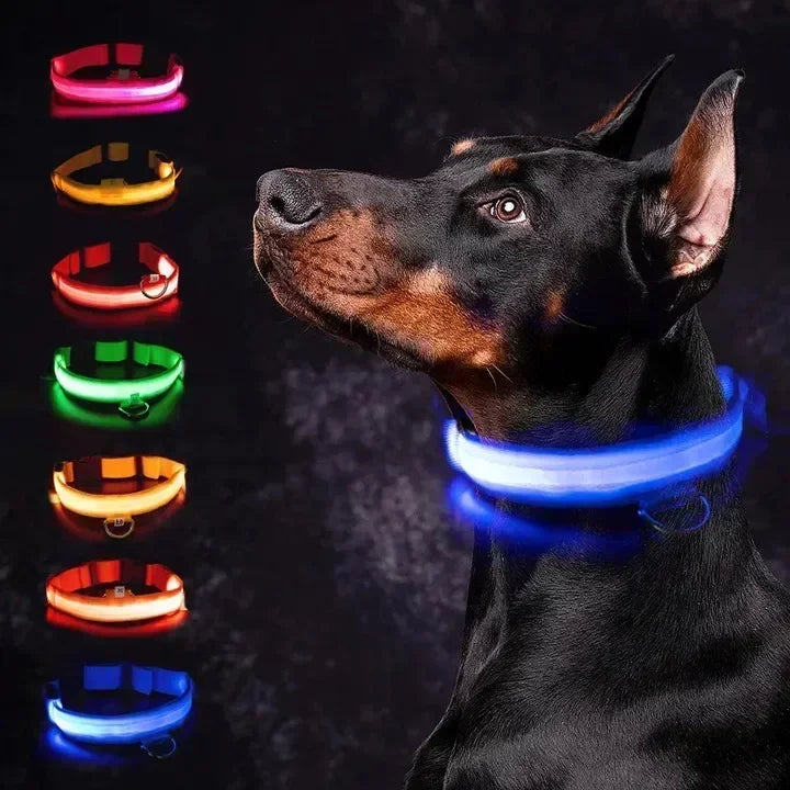 LED Glowing Dog Collar