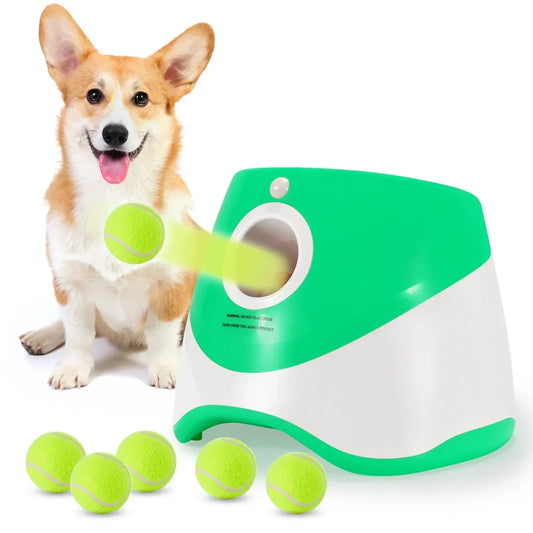 Lanceur automatique de balles pour chiens – Jouet interactif à rapporter pour chiens de petite et moyenne taille