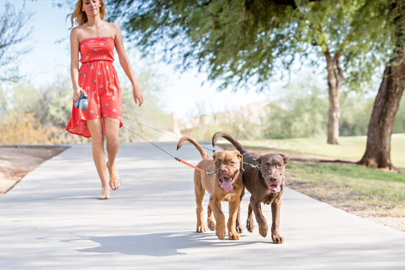 360° Tangle-Free Dual Retractable Dog Leash with LED & Independent Braking