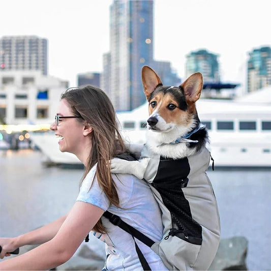 Reise-Transportbox für Hunde